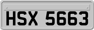 HSX5663