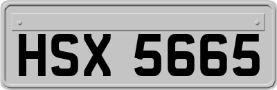 HSX5665