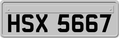 HSX5667