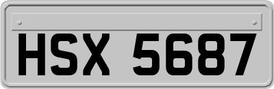 HSX5687