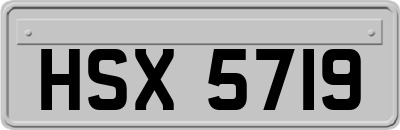 HSX5719
