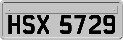 HSX5729