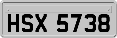 HSX5738