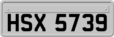 HSX5739