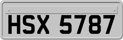 HSX5787