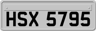 HSX5795