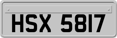 HSX5817