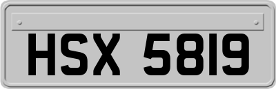HSX5819