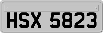 HSX5823