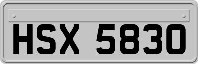 HSX5830