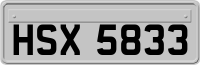 HSX5833