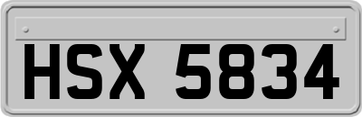 HSX5834