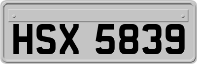 HSX5839
