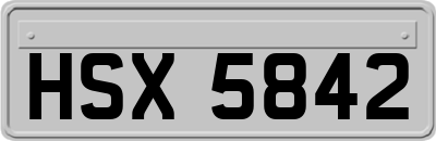 HSX5842