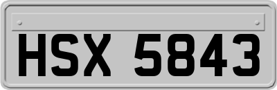 HSX5843
