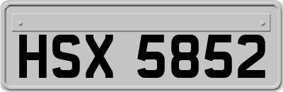 HSX5852