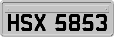 HSX5853