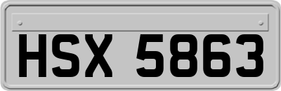 HSX5863
