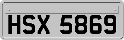 HSX5869