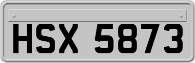 HSX5873