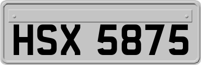 HSX5875