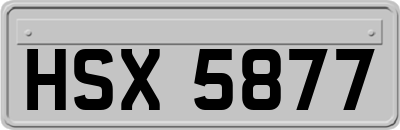 HSX5877