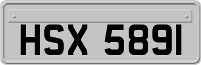 HSX5891