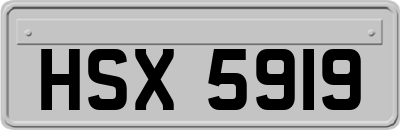HSX5919