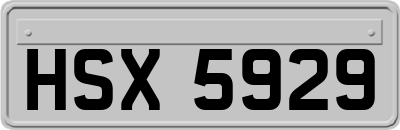 HSX5929