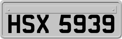 HSX5939