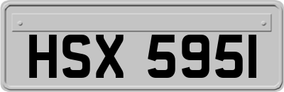 HSX5951