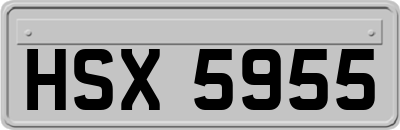 HSX5955