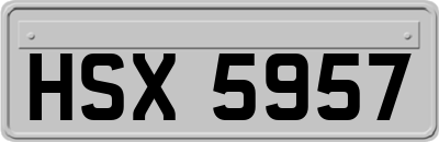 HSX5957