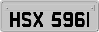HSX5961