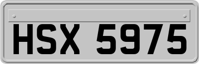 HSX5975