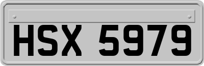HSX5979