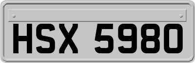 HSX5980