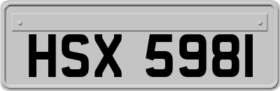 HSX5981