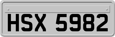 HSX5982