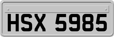 HSX5985