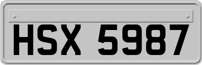 HSX5987