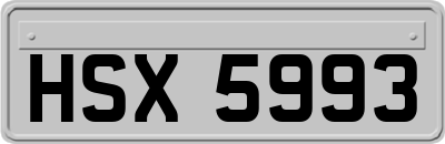 HSX5993