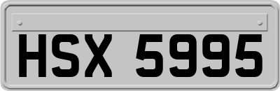 HSX5995