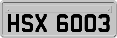 HSX6003
