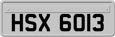HSX6013
