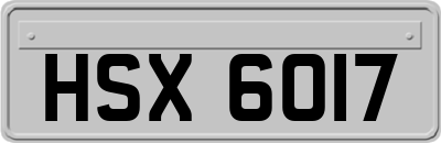 HSX6017