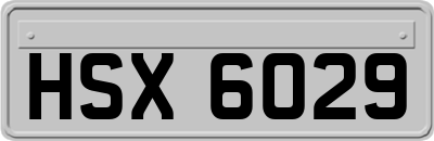 HSX6029