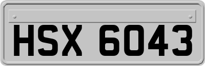 HSX6043