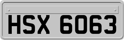 HSX6063