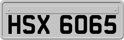 HSX6065